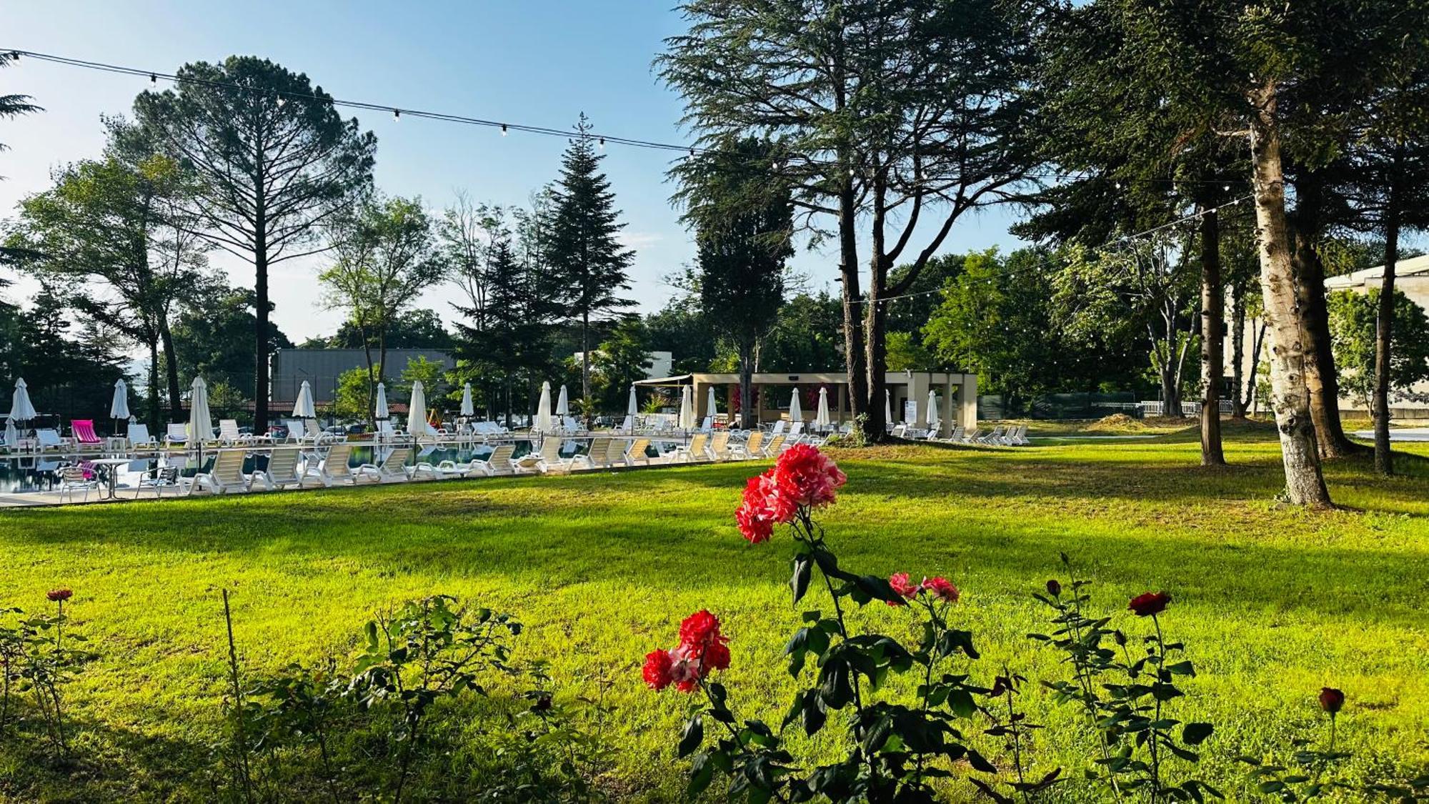 Queen Nelly Park Китен Экстерьер фото