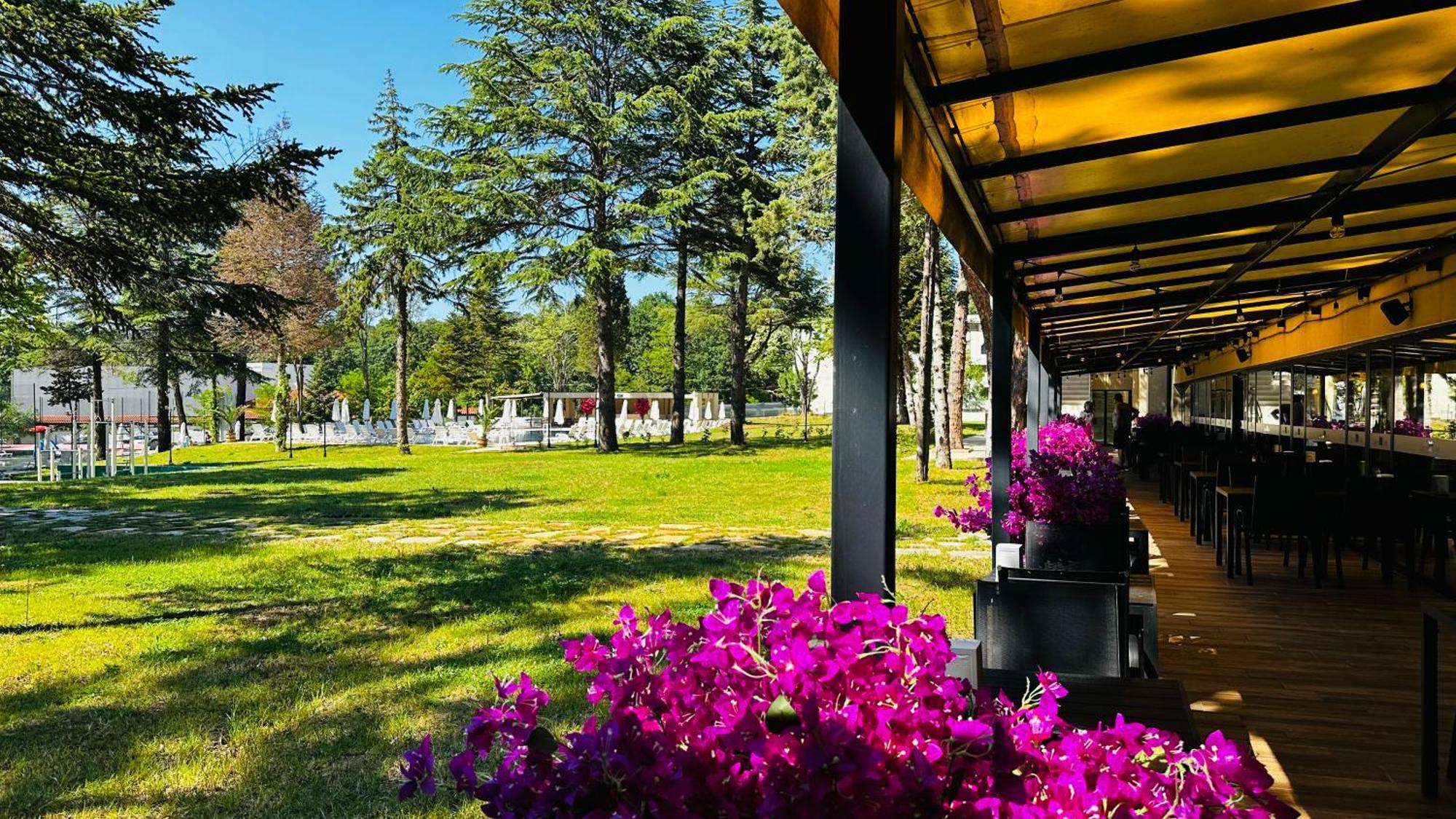 Queen Nelly Park Китен Экстерьер фото